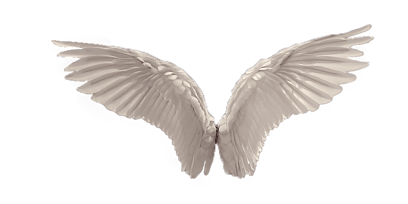 Angel Wings Free PNG Image