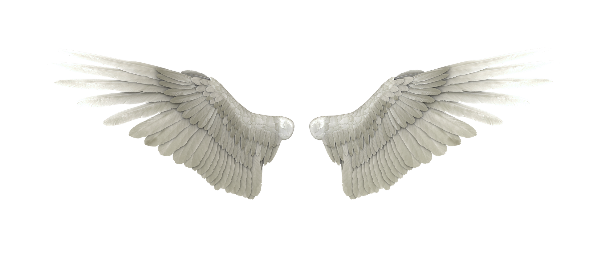 Angel Wings PNG Background Image