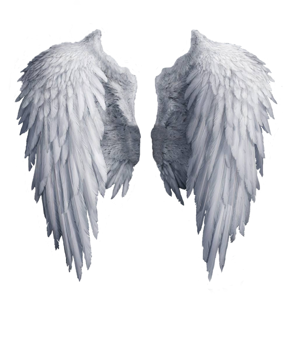 أجنحة الملاك PNG صورة خلفية شفافة