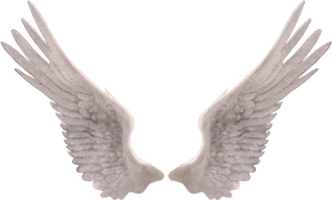 천사 날개 PNG 사진