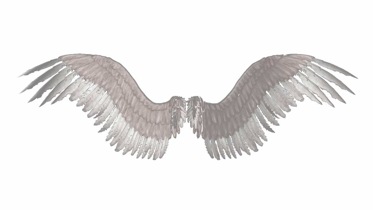 천사 날개 PNG 그림
