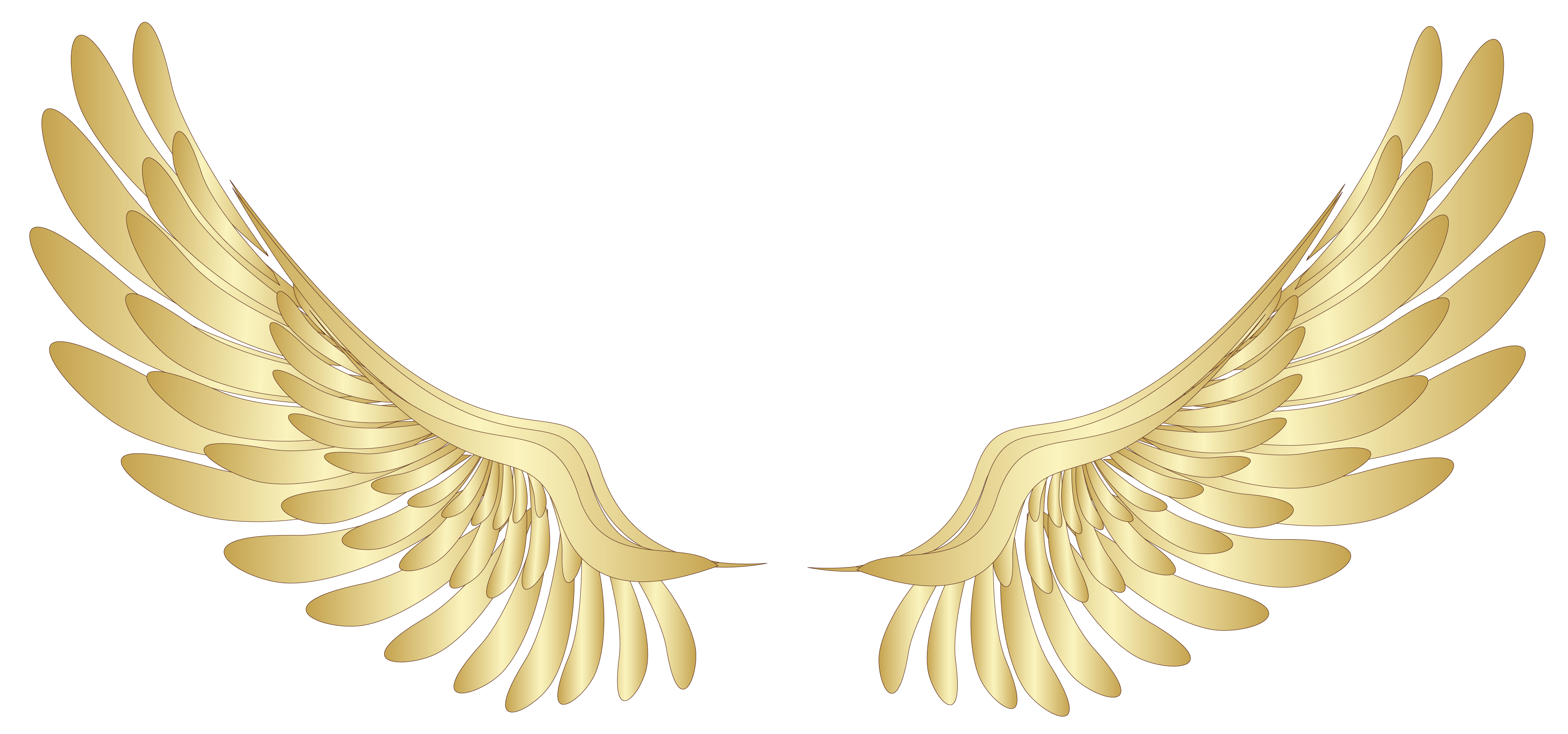 천사 날개 투명 이미지