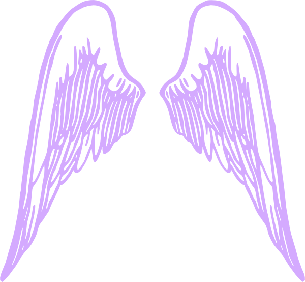 천사 날개 투명한 이미지