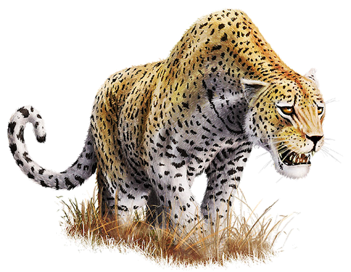 Angry Cheetah Gratis PNG-Afbeelding