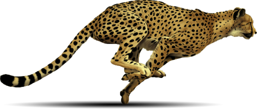 Boze cheetah PNG Gratis Download
