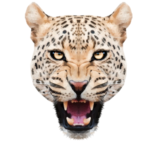 Angry Cheetah PNG Pic