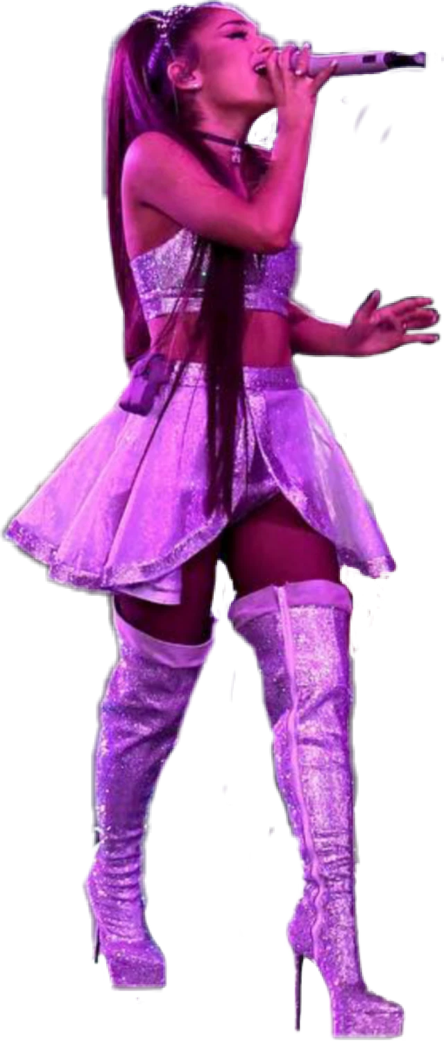 Ariana Grande Stockings PNG Image