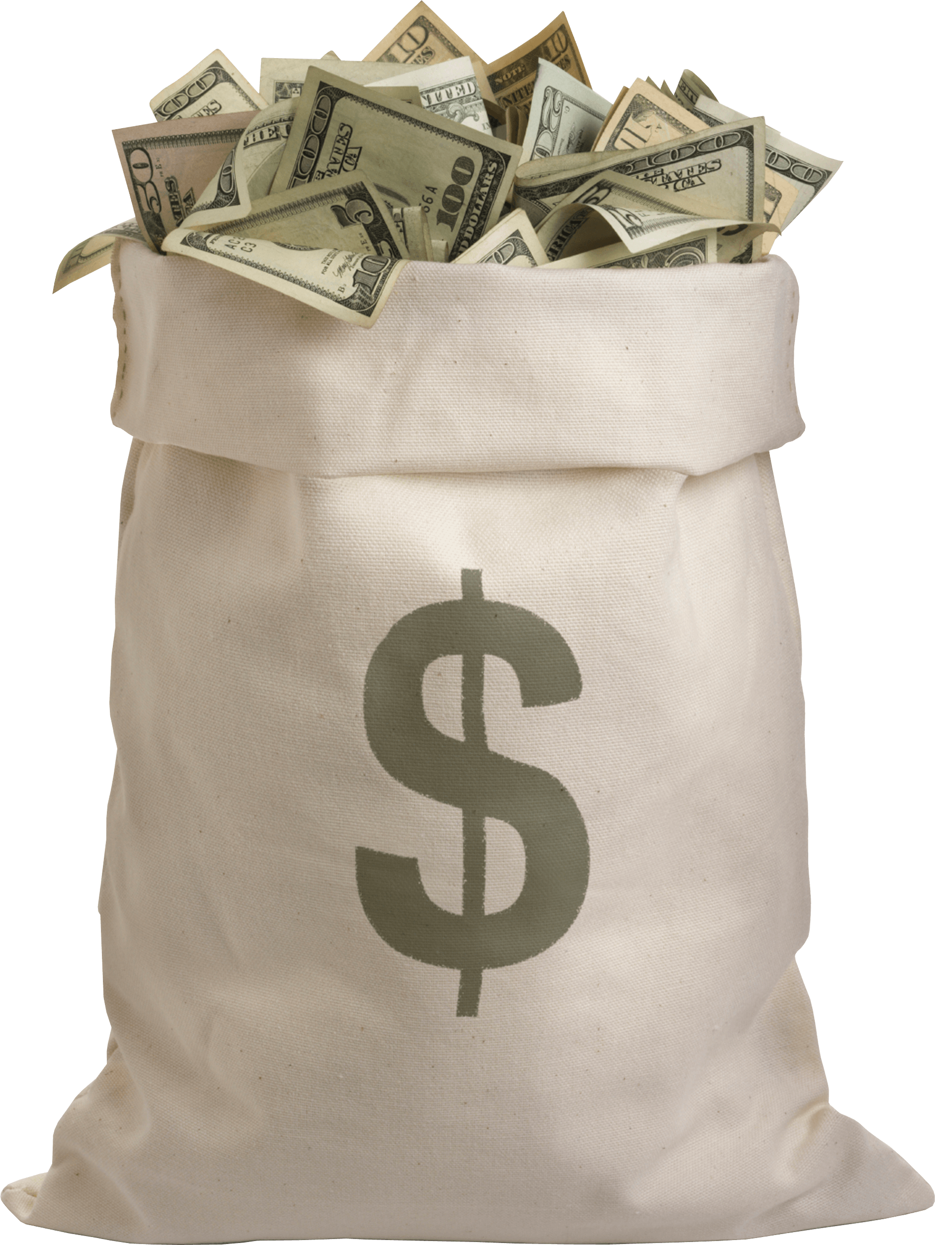 Bag of Money PNG High-Quality Image