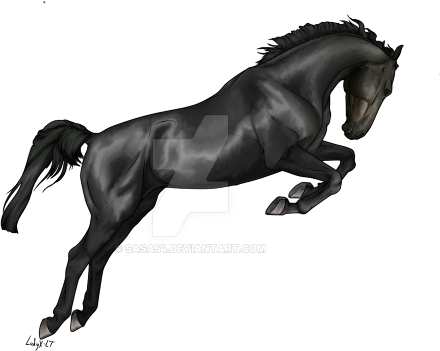 Black Horse Free PNG Image