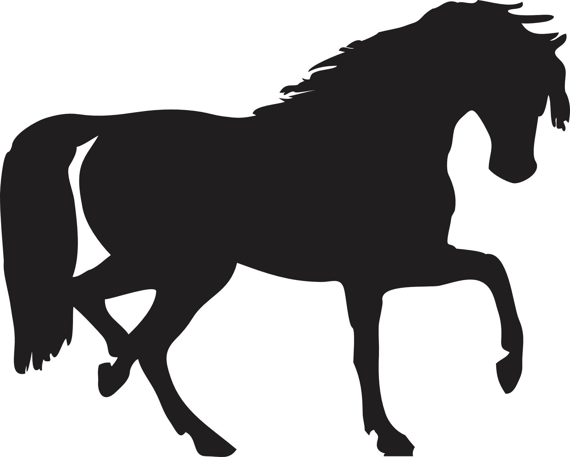 Black Horse PNG High-Quality Image