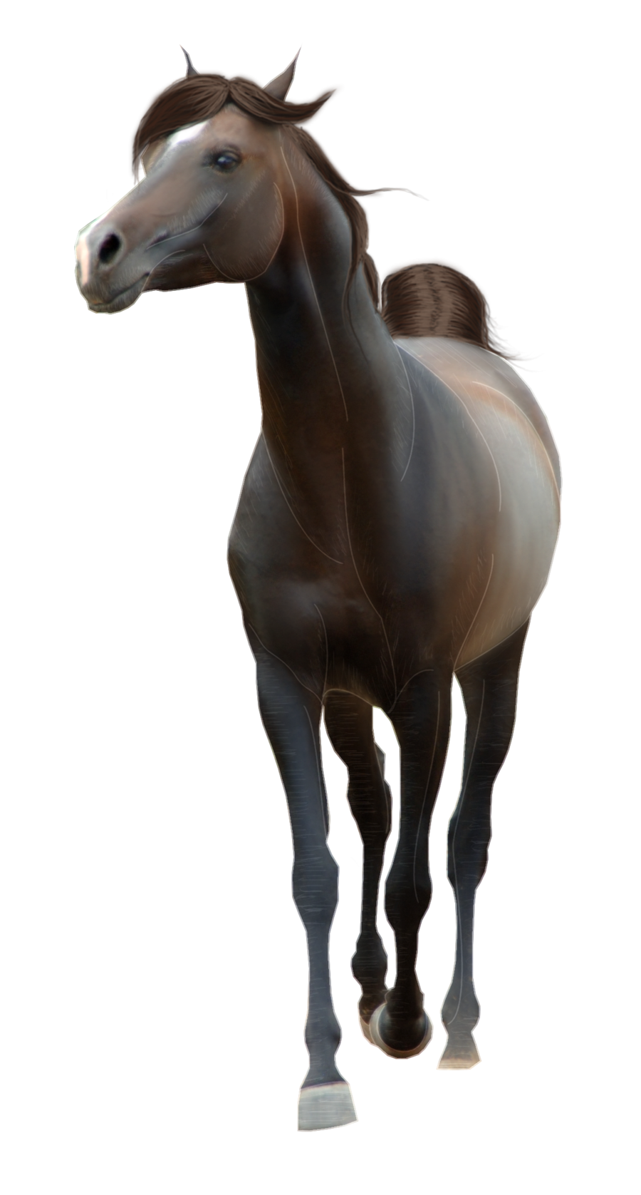 Black Horse PNG Transparent Image