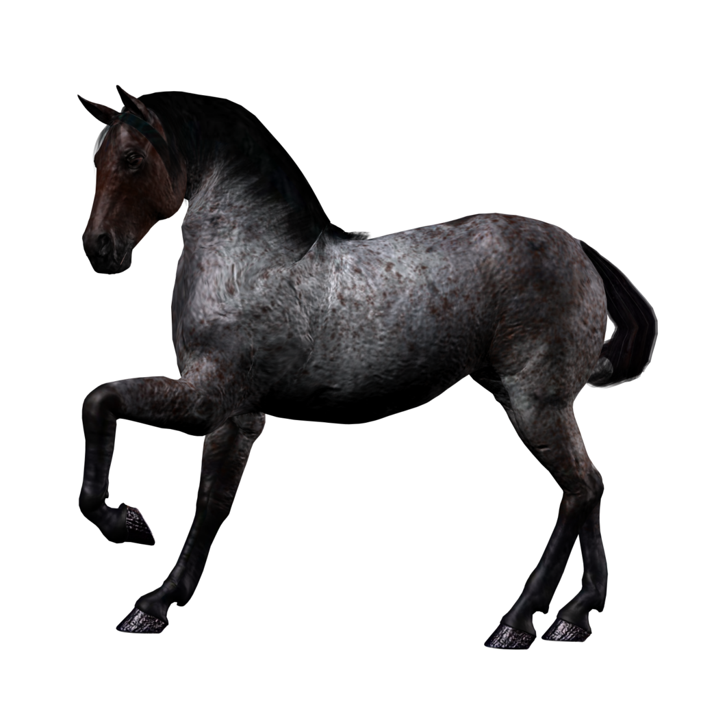 حصان أسود صورة شفافة