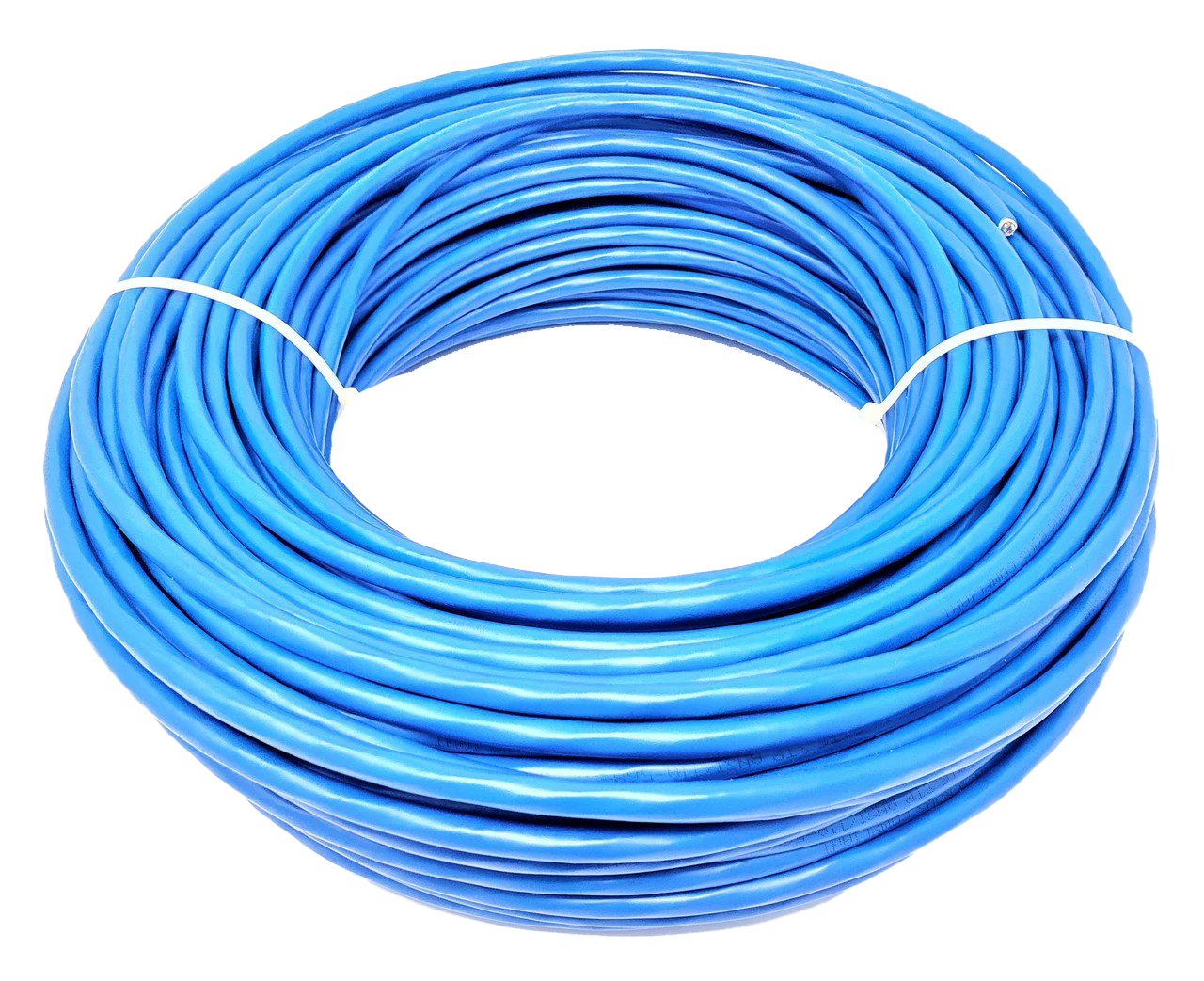 Blaues Ethernet-Kabel Transparentes Bild