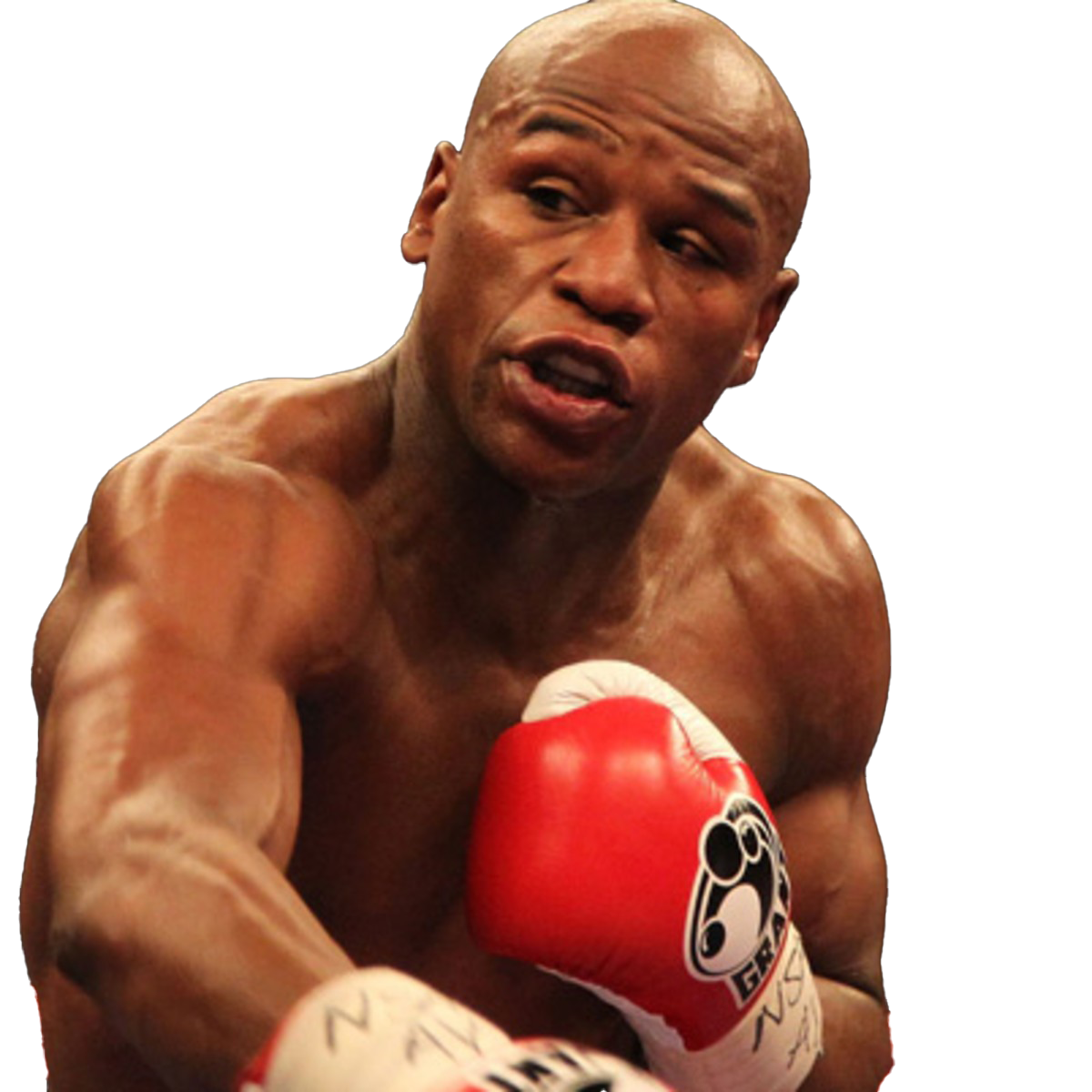 Mayweather Png Floyd Mayweather S Basic Workout Expert Fighting Tips
