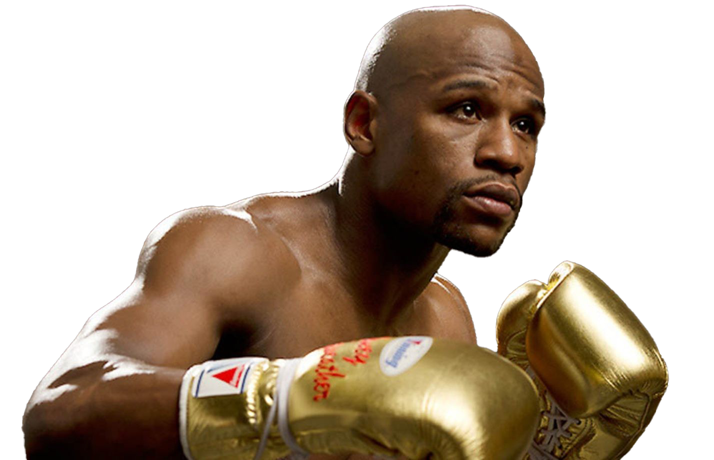 Boxer Floyd Mayweather PNG High-Quality Image