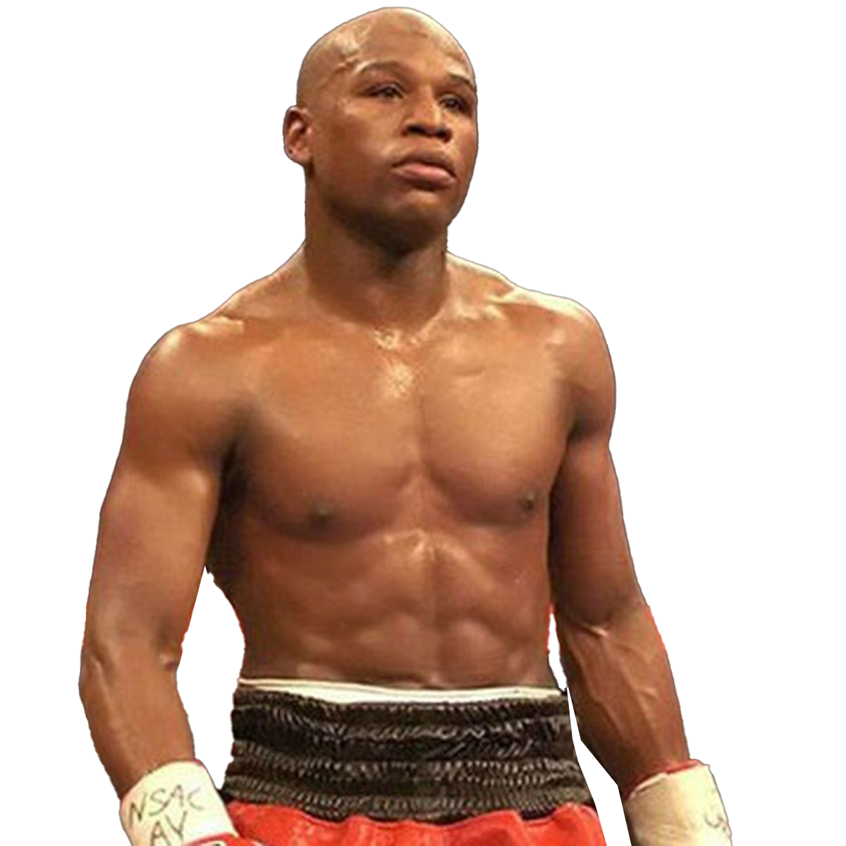 Boxer Floyd Mayweather PNG Pic