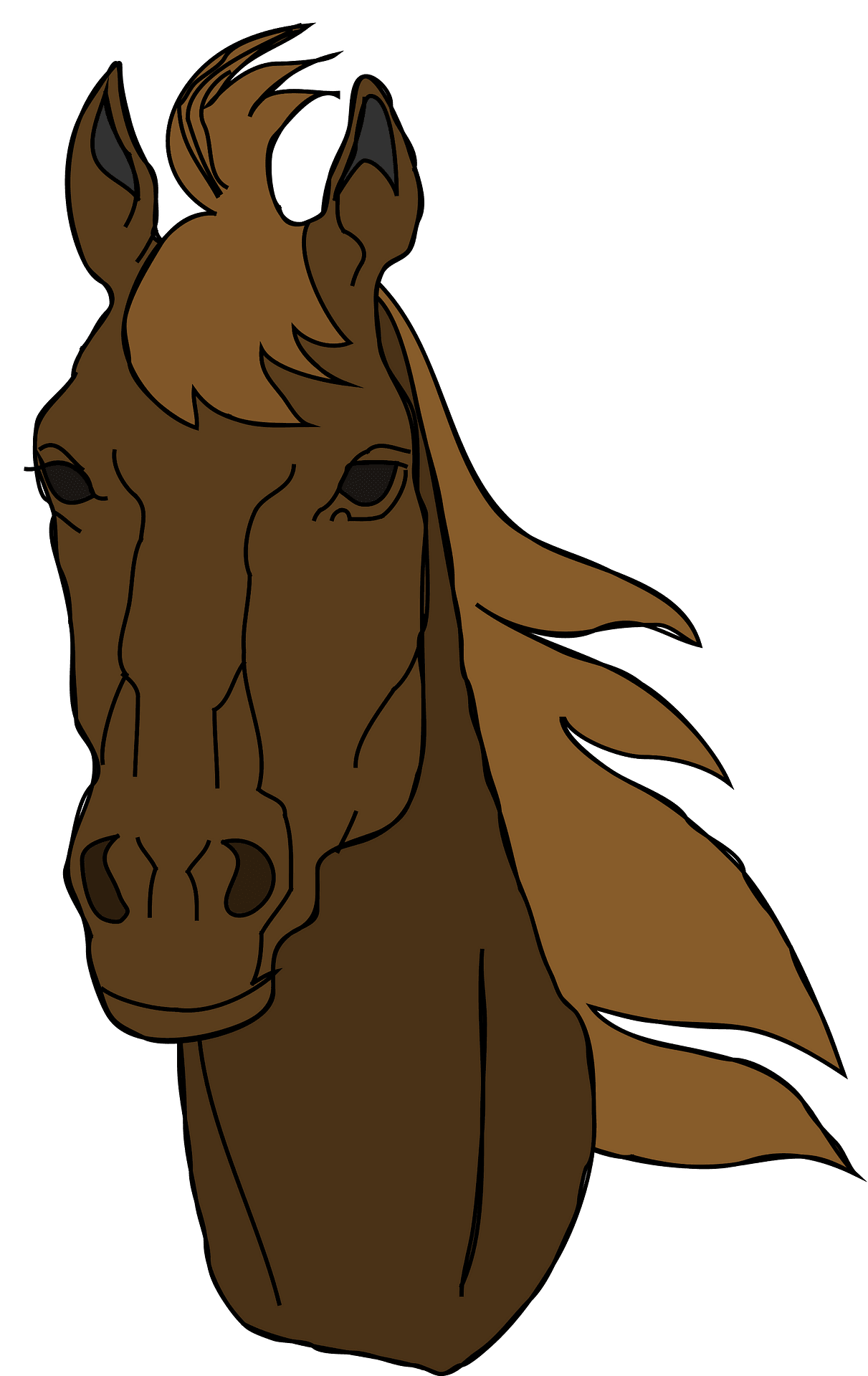 Brown Horse Download PNG Image
