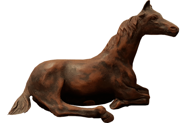 حصان بني خلفية شفافة PNG
