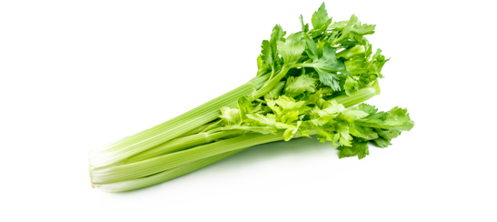 Celery Download Transparent PNG Image