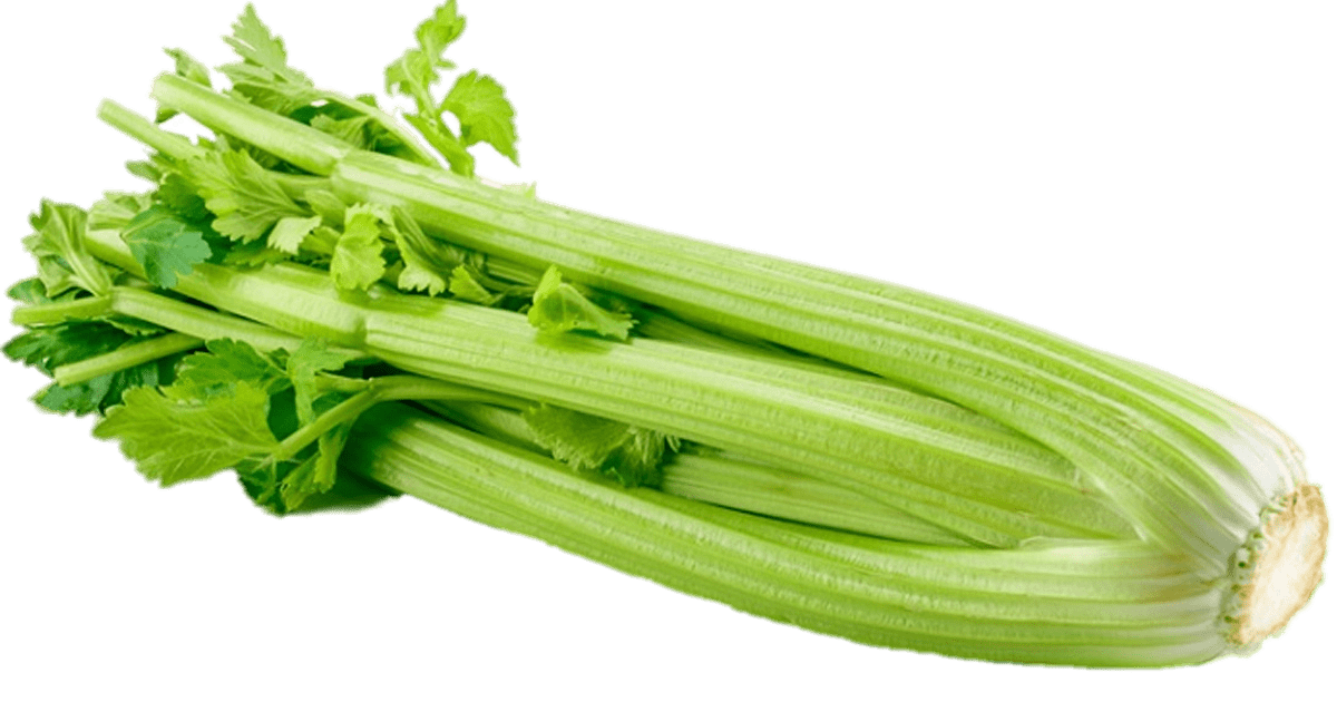 Celery Free PNG Image