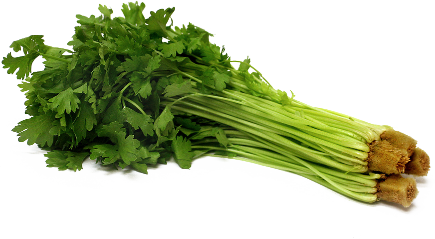 Celery PNG Download Image