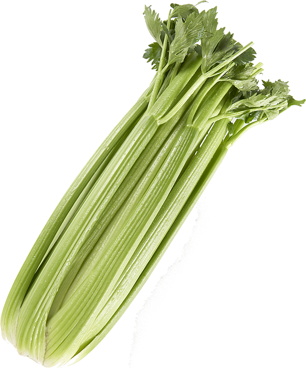 Celery PNG высококачественный образ