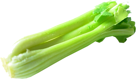 Celery PNG Transparent Image