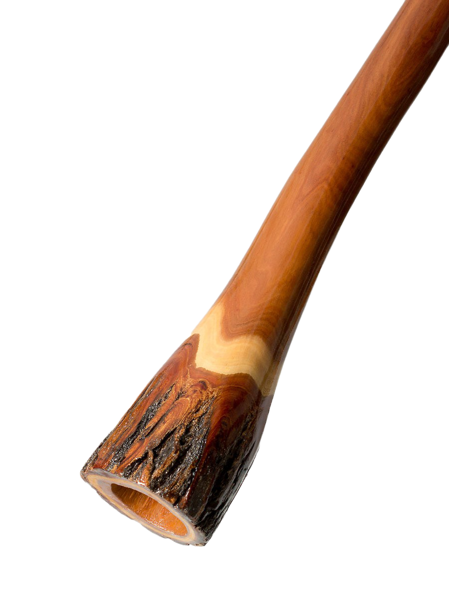 Didgeridoo viento instrumento PNG Pic