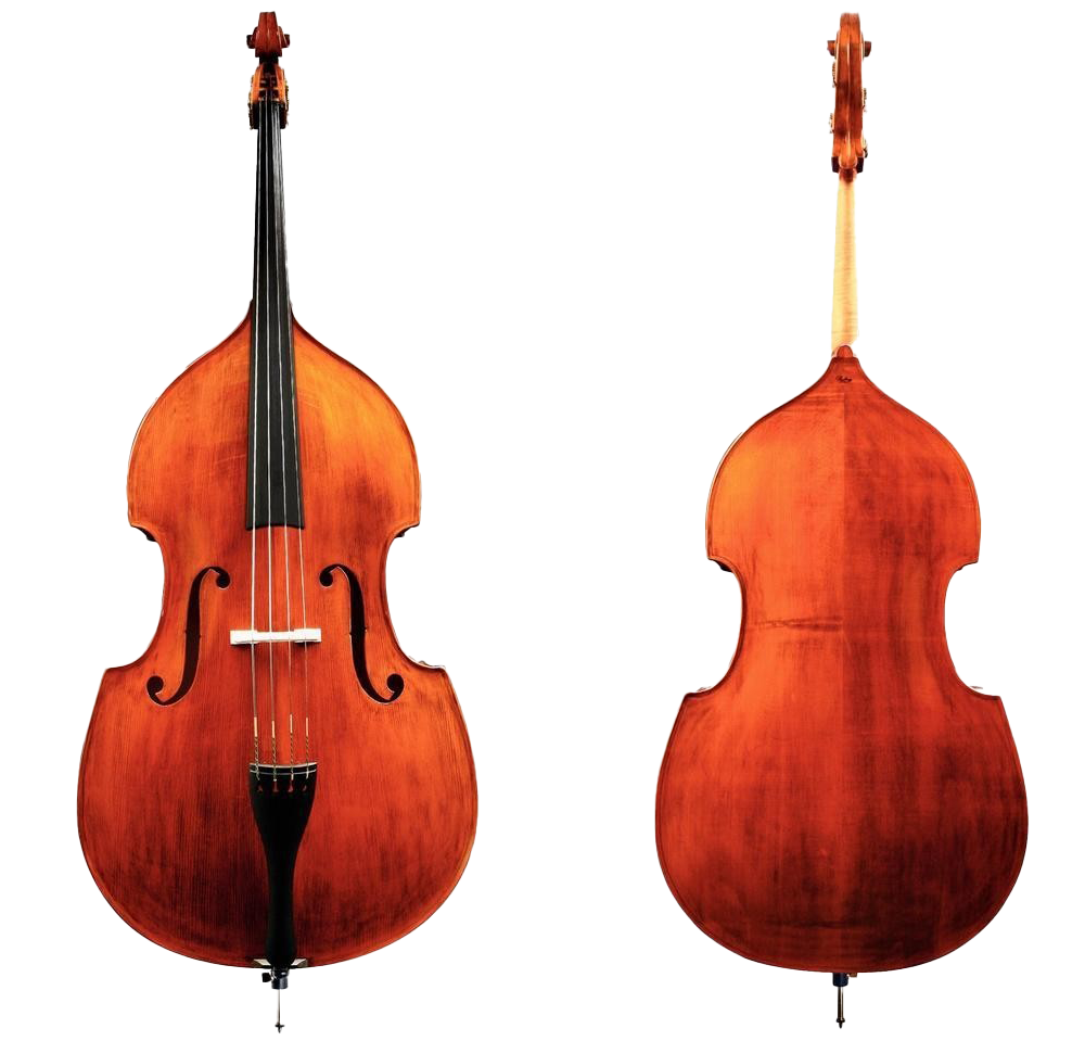 Double Bass Instrument PNG Photo