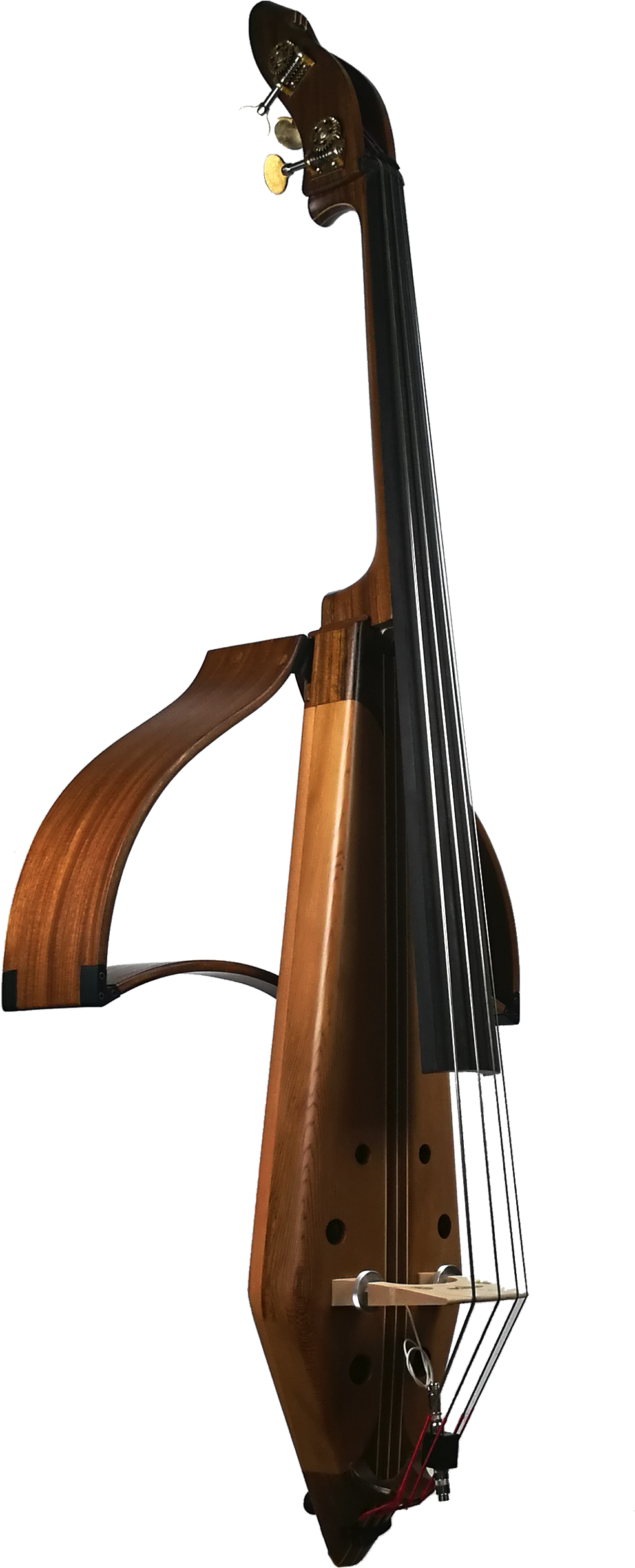 Double Bass PNG Photo