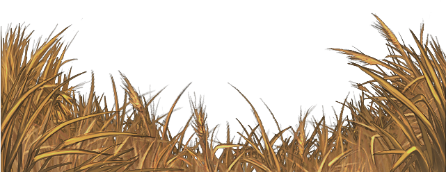 Field PNG Transparent Image