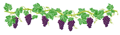 Grapevine Download PNG Image