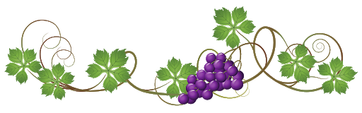 Grapevine PNG Free Download