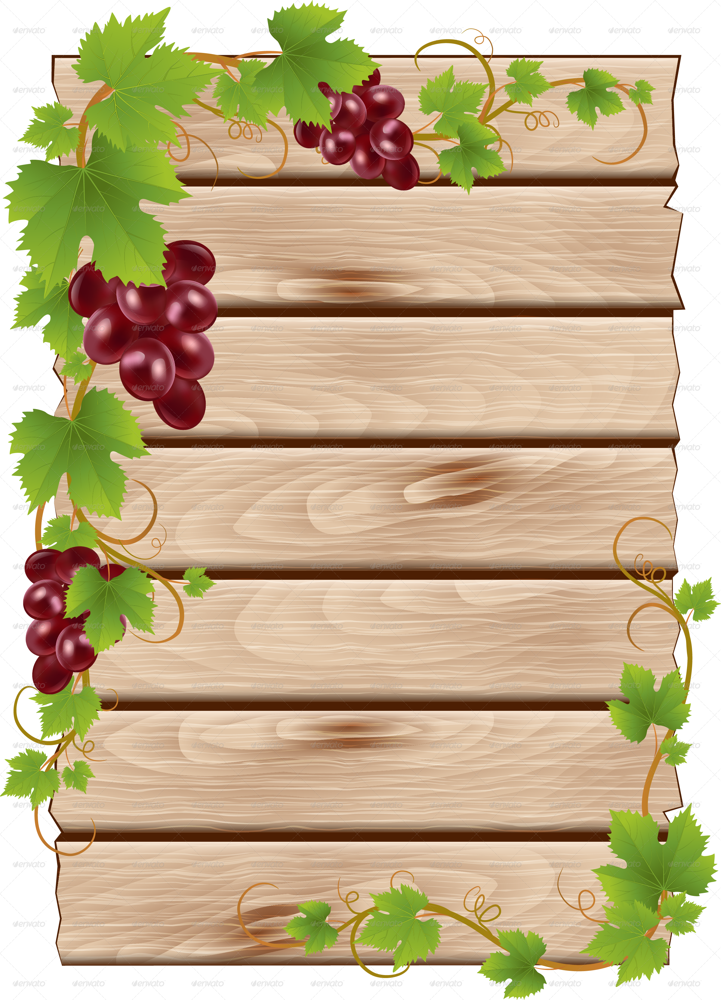 Grapevine PNG Image Background