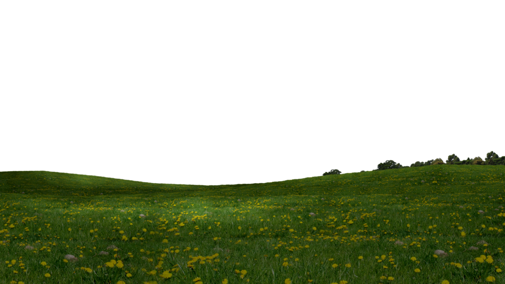 Grass Field Free PNG Image