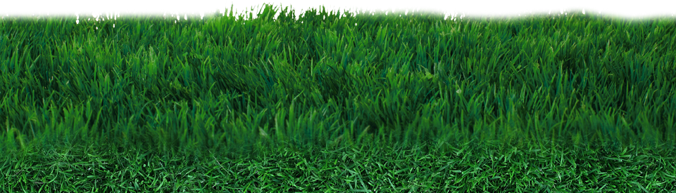 Grass Field PNG Transparent Image