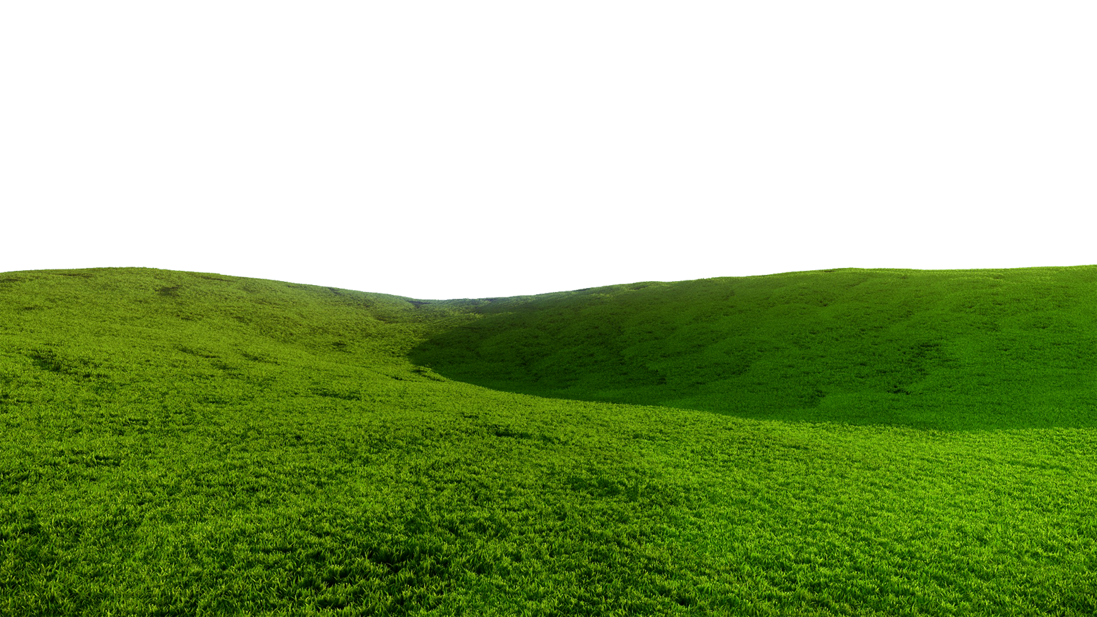 Grass Field Transparent Image