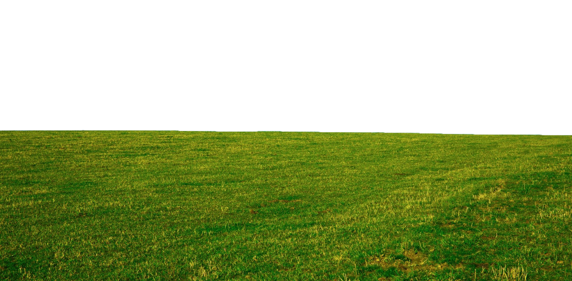 Green Field Free PNG Image