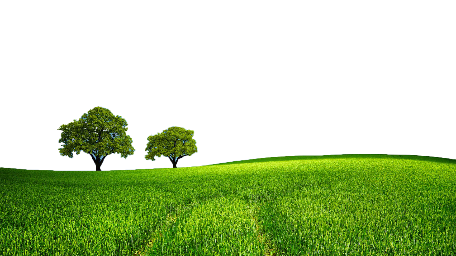 Green Field PNG Free Download