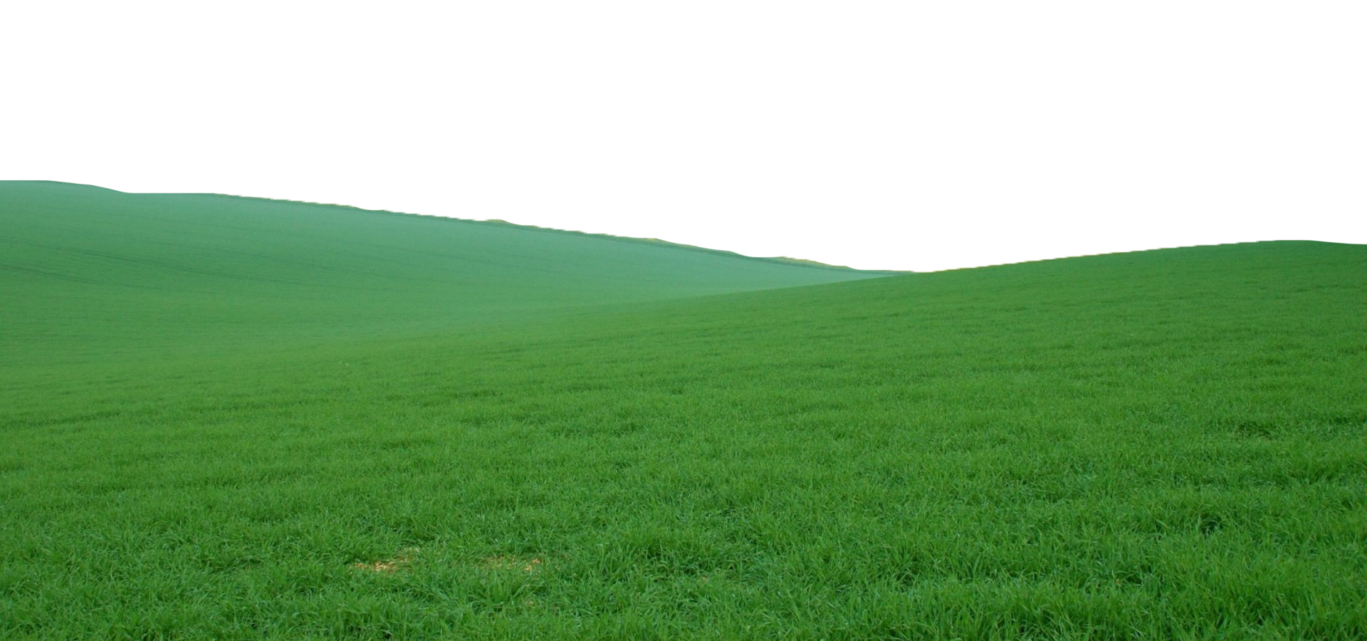 Green Field PNG High-Quality Image