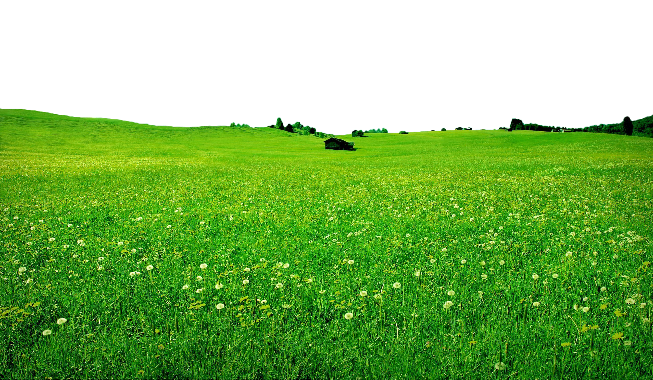 Green Field PNG Image Background