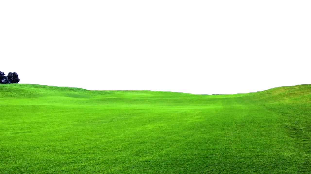 Green Field PNG Image