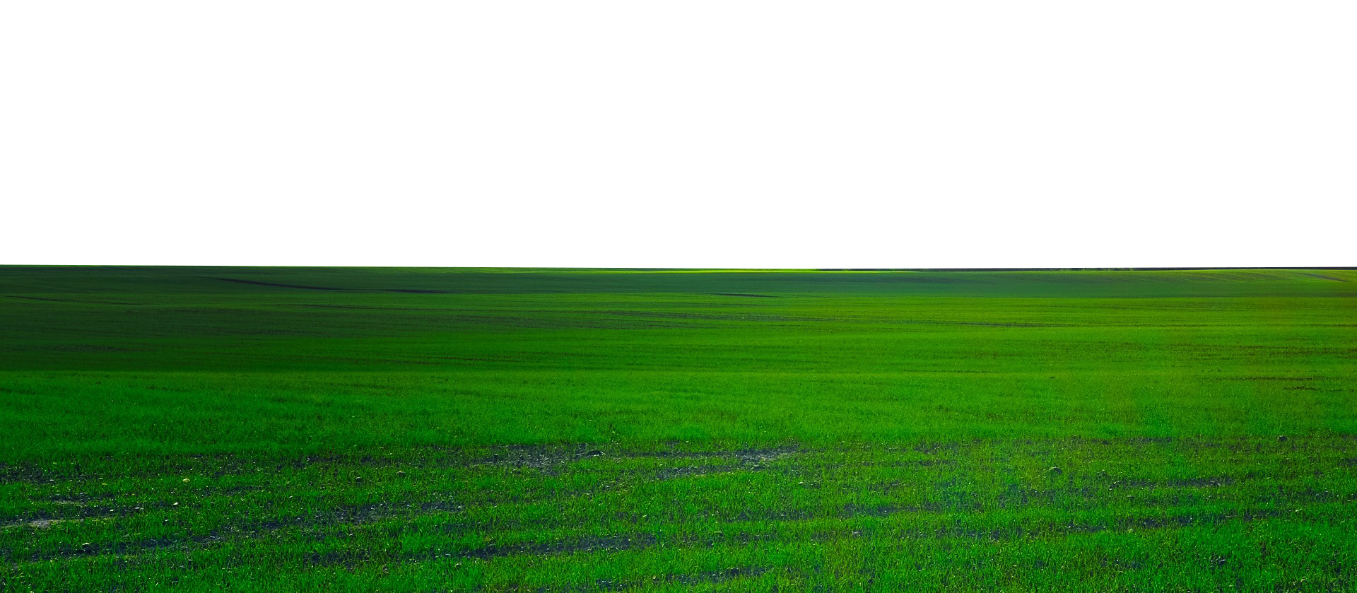 Green Field PNG Pic