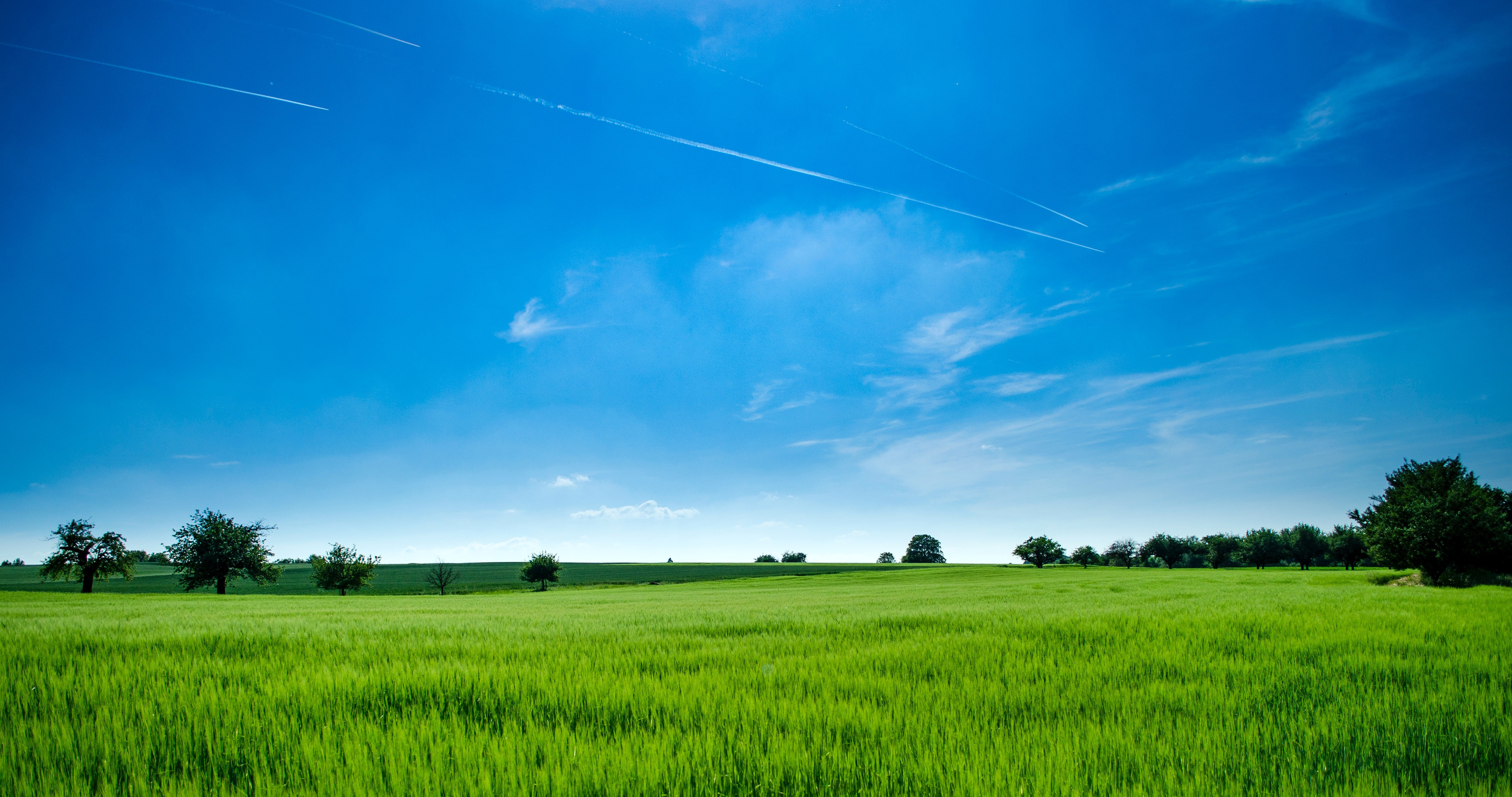 Green Field Transparent Background PNG