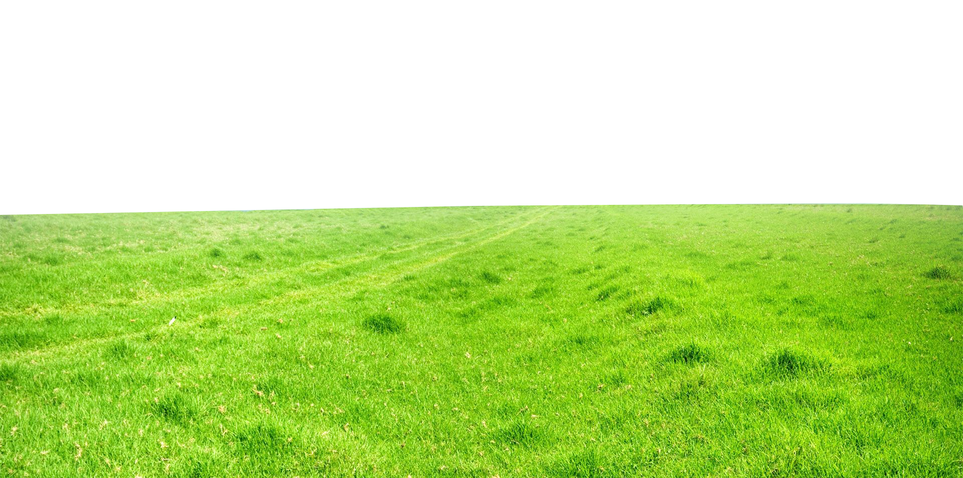 Green Field Transparent Image