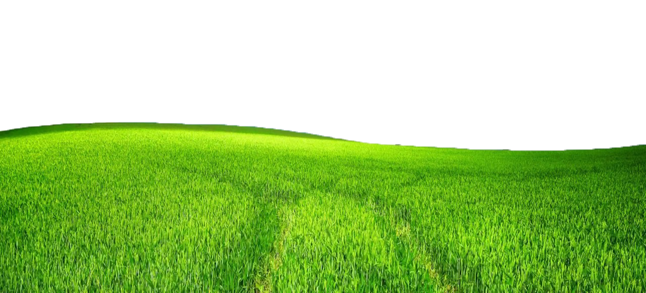 Green Field Transparent Images