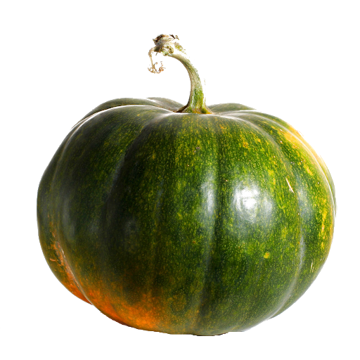 Green Pumpkin PNG Free Download