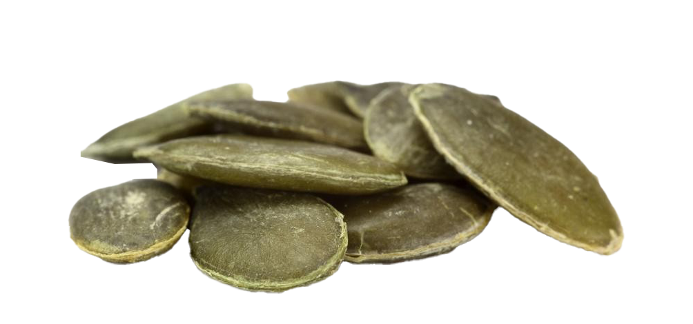 Green Pumpkin Seed PNG Picture