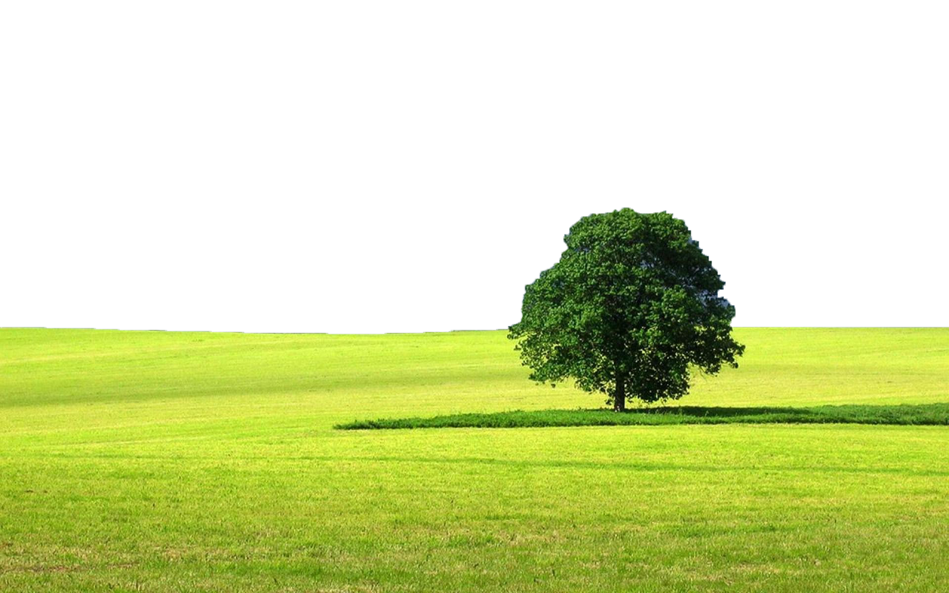 Greenery Landscape PNG Transparent Image