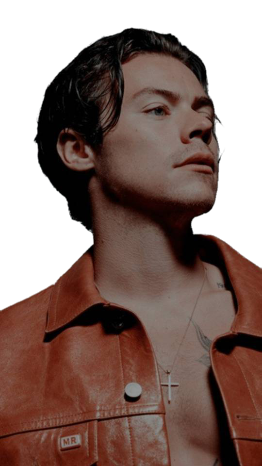Harry Styles Free PNG Image